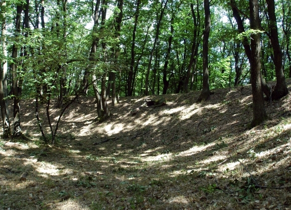 Bojná