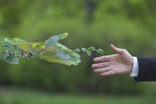 Green energy