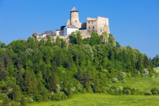 Ľubovniansky hrad
