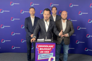 Tlačová beseda Demokrati