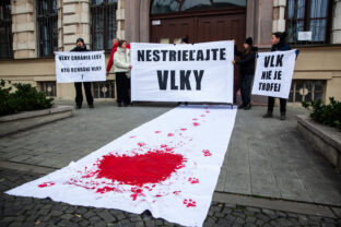 ENVIRO: Nestrieľajte vlky