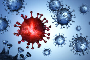 Coronavirus Mutant - Variation Omicron B.1.1.529